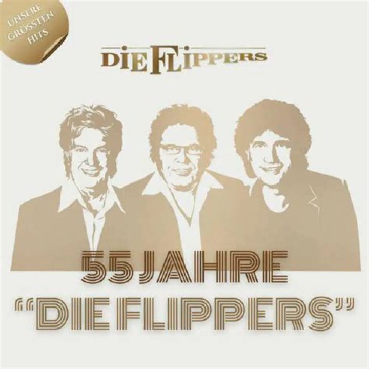 Die Flippers Fortune